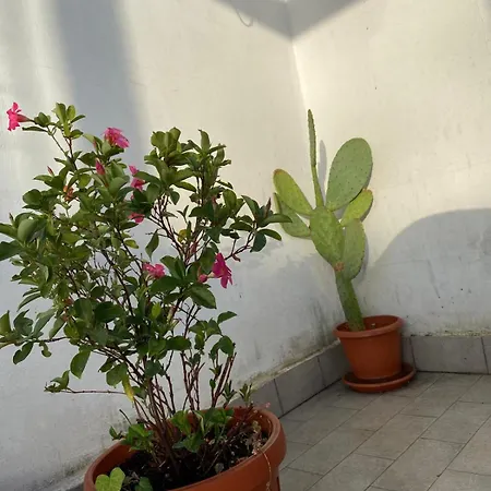 Piccolo Sogno Appartement *